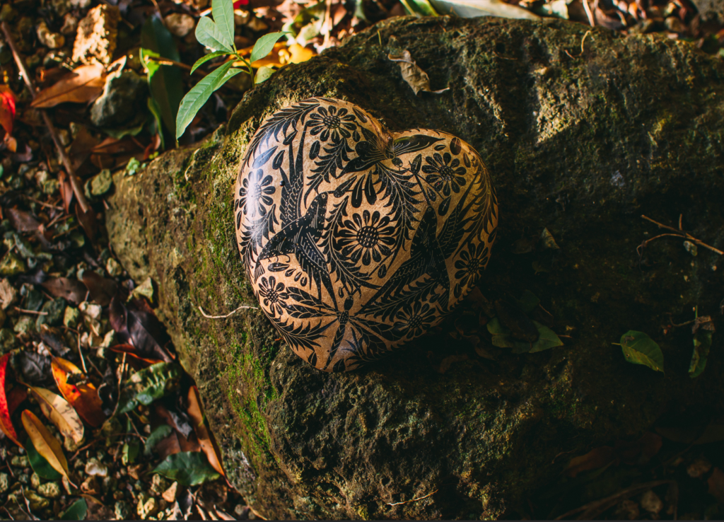 The programs featured image