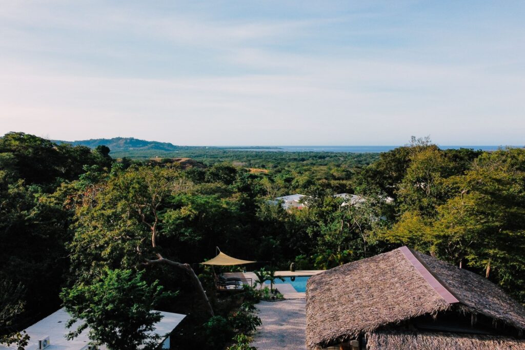 The programs featured image