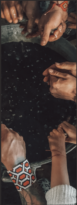 The programs featured image